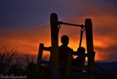IIP Online Student Photography